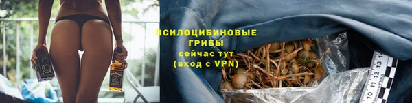 гидра Балабаново